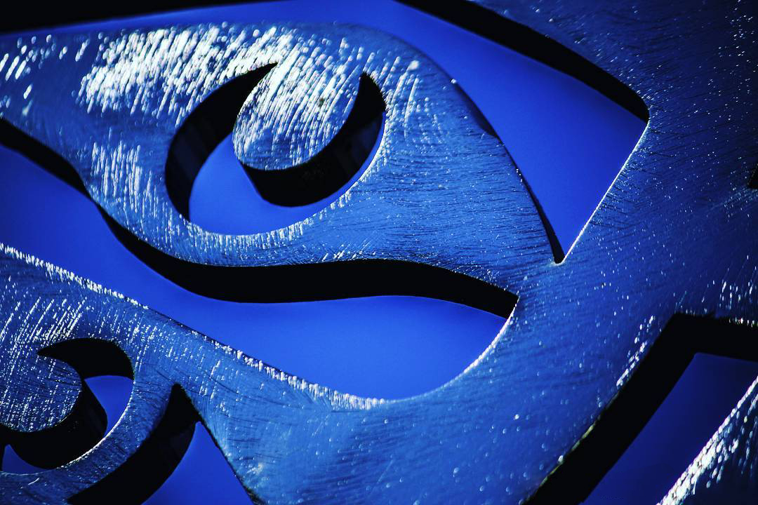 The Blue Affinity: Why Your Brain is Hardwired to Love This Hue