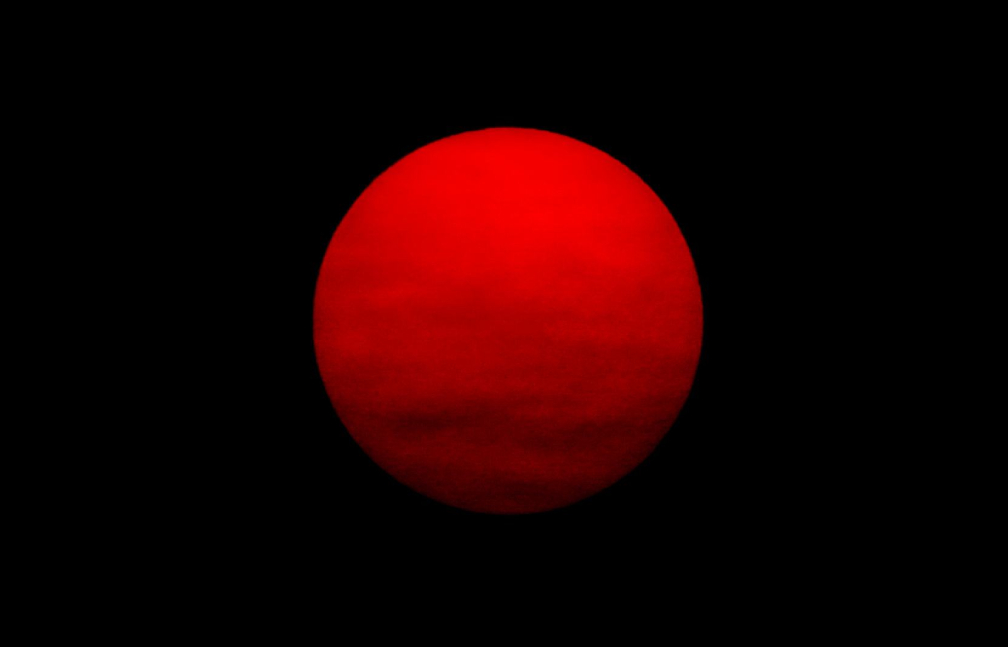 Seeing Red: The Power, Passion, and Psychology of Nature’s Boldest Hue