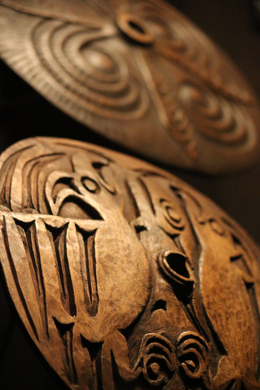 Beyond the Glass: A Photographic Love Letter to the Royal BC Museum